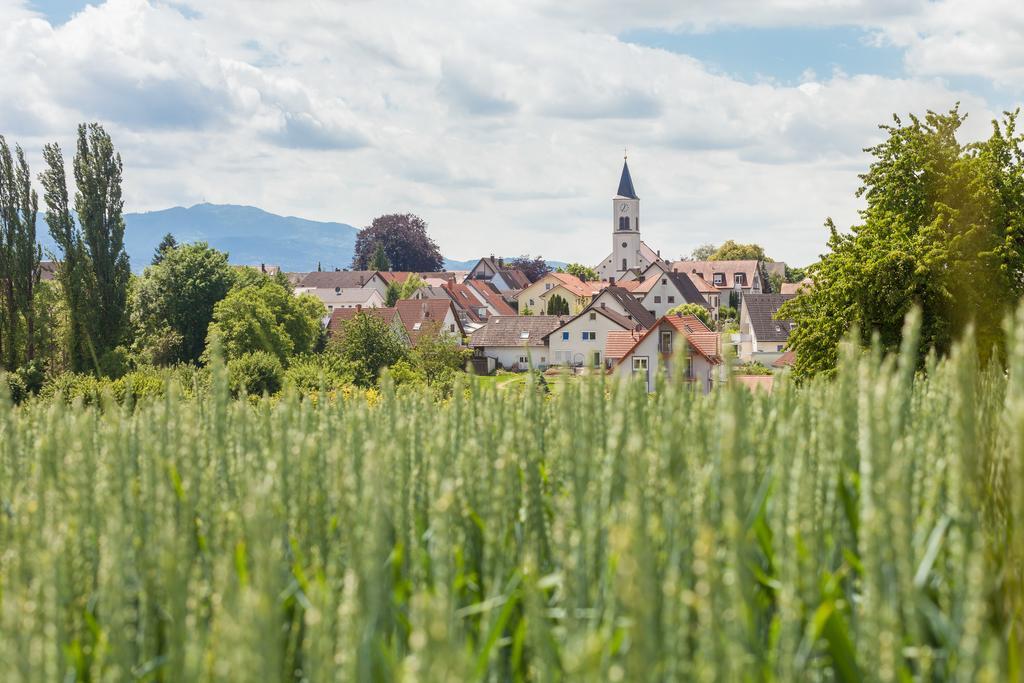 Alemannenhof Schallstadt Exterior foto